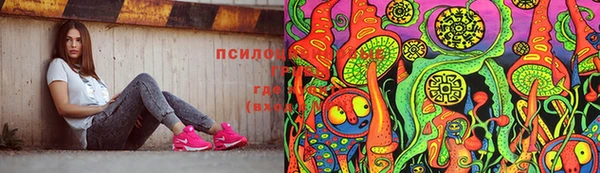 стаф Беломорск