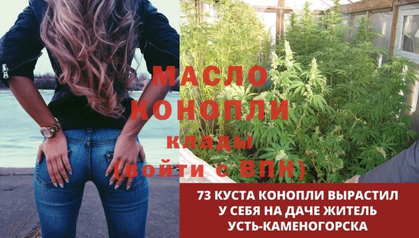 гашик Богородицк