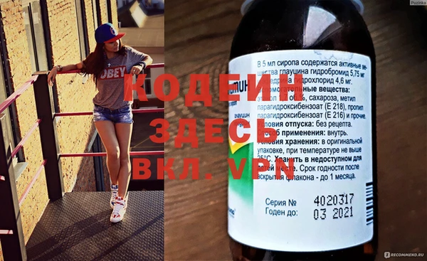 ПСИЛОЦИБИНОВЫЕ ГРИБЫ Богданович